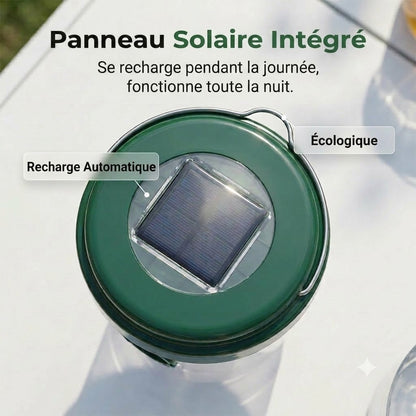 Piège à guêpes et mouches solaire suspendu