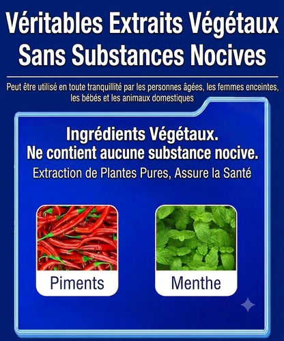 Gel répulsif anti-souris d'origine végétale – Adapté pour l'intérieur