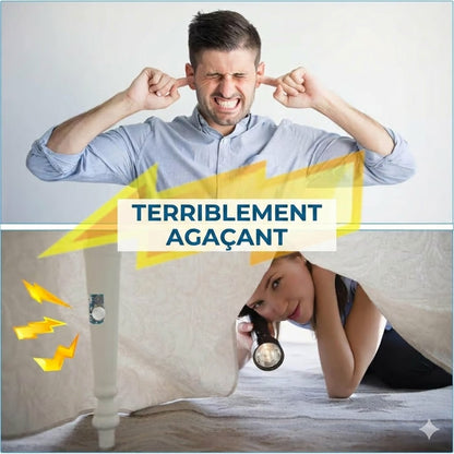 Grillon invisible : L'ultime farce sonore