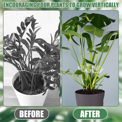 Tuteur pour plantes transparent en acrylique, forme feuille de monstera | Support invisible pour plantes d'intérieur (Lot de 5 pièces)