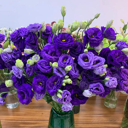 Graines d'Eustoma Roses sans épines (100 pièces) 💐Graines de Lisianthus