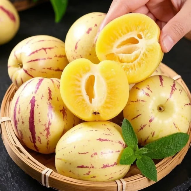Mélange de graines de Poire-Melon (Pepino) (1000 pcs)