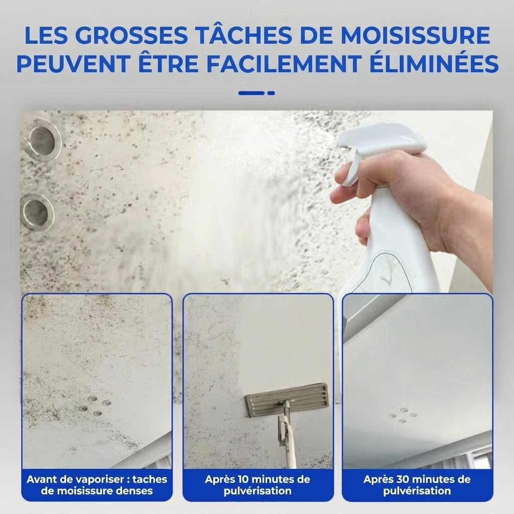 Spray Anti-Moisissure Puissant (Résultat Immédiat)