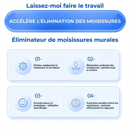 Spray Anti-Moisissure Puissant (Résultat Immédiat)