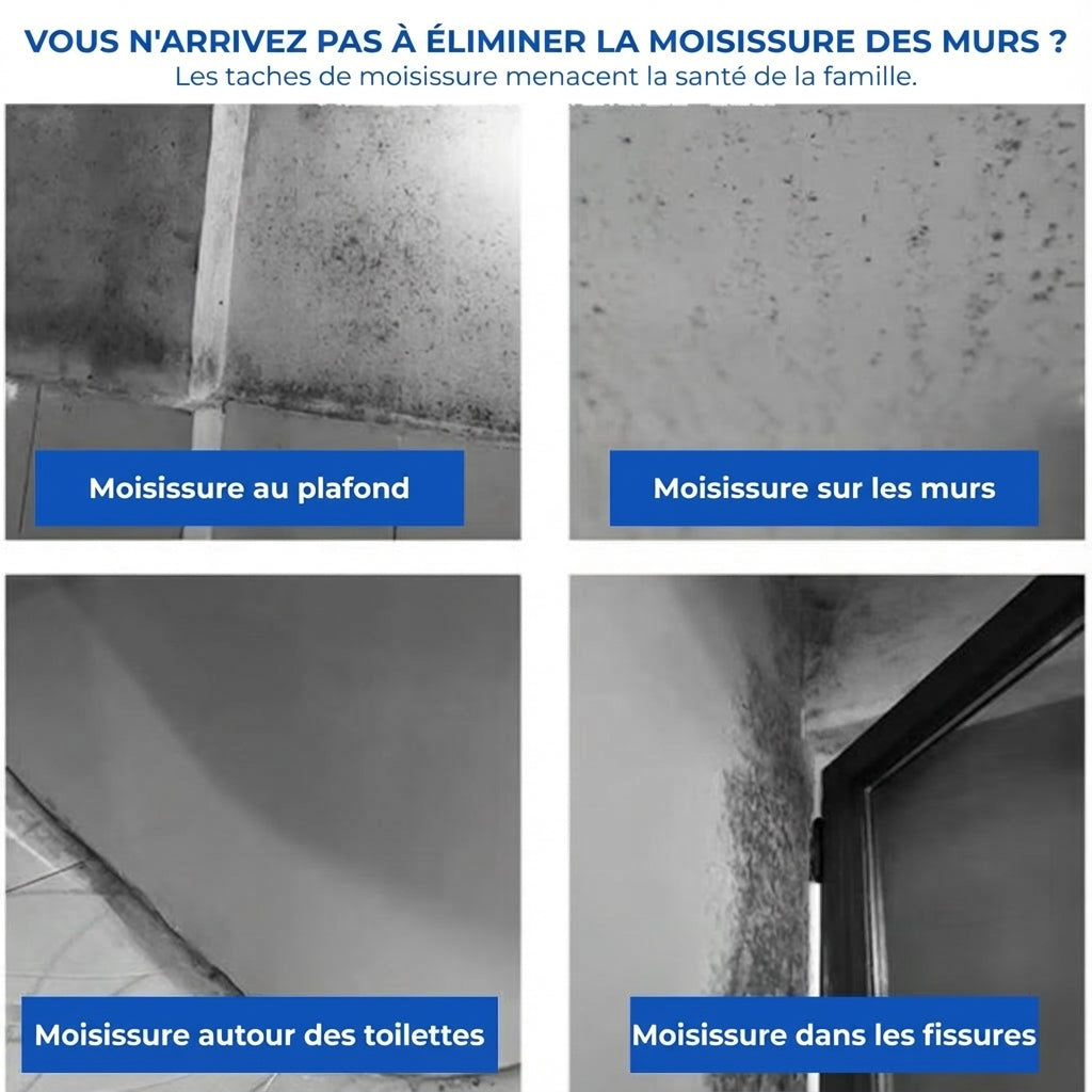 Spray Anti-Moisissure Puissant (Résultat Immédiat)