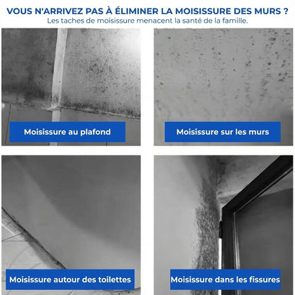 Spray Anti-Moisissure Puissant (Résultat Immédiat)