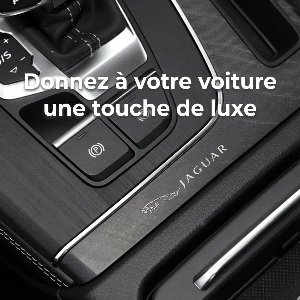 Emblème Auto en Métal 3D