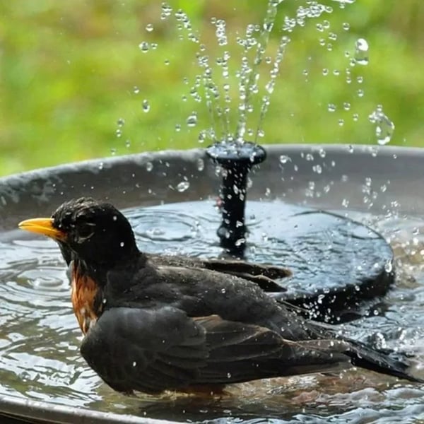 Fontaine automatique à énergie solaire