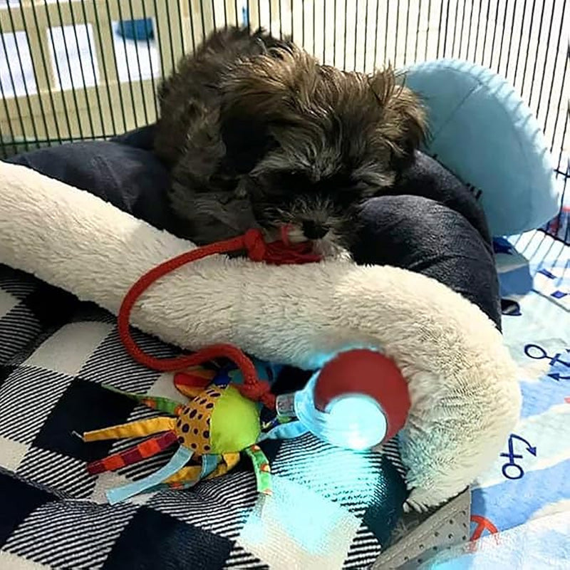 Balle de jeu interactive intelligente pour animaux de compagnie