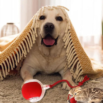 Balle de jeu interactive intelligente pour animaux de compagnie