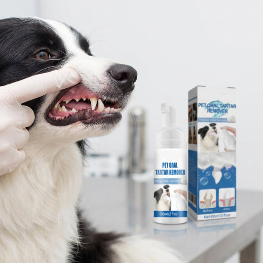 🐶🐱 Mousse de détartrage pour chiens