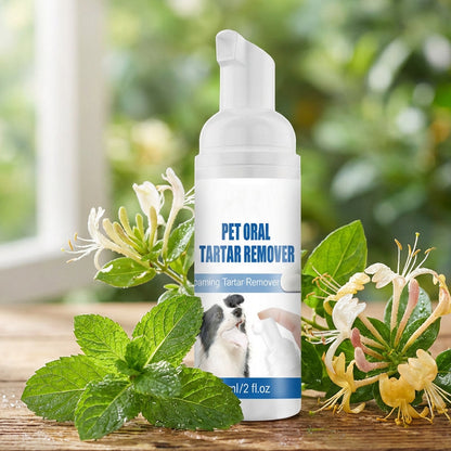 🐶🐱 Mousse de détartrage pour chiens