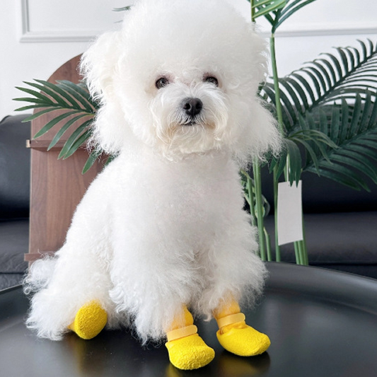Chaussures imperméables et antidérapantes pour animaux de compagnie🐶👟