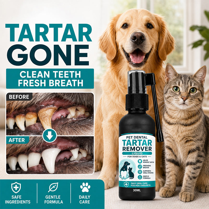Spray doux de soins dentaires pour animaux de compagnie