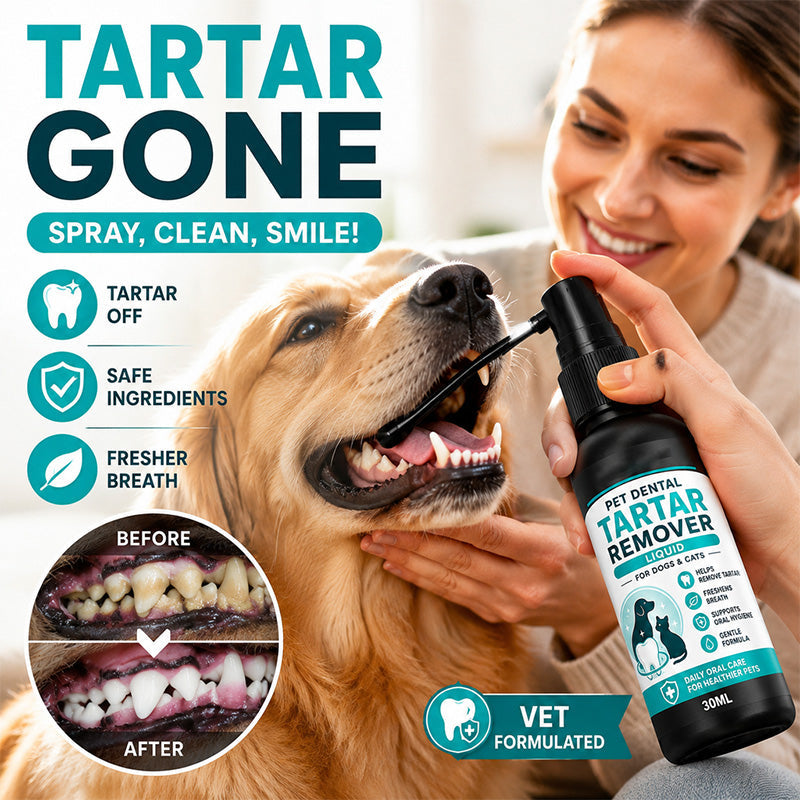 Spray doux de soins dentaires pour animaux de compagnie