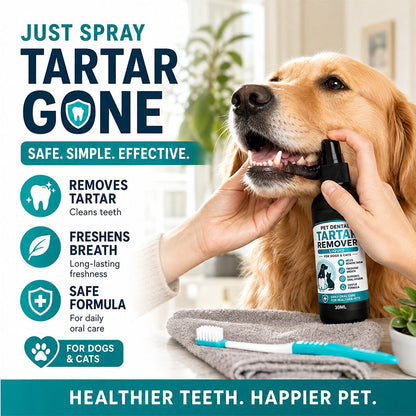 Spray doux de soins dentaires pour animaux de compagnie