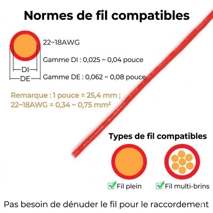 [20 Pièces] Connecteurs de fils rapides avec verrouillage – Connexion de fiche à 2 pôles
