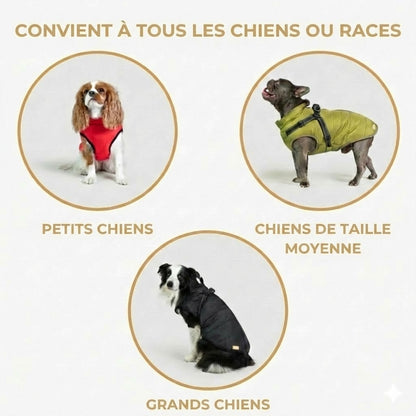 DoggyKings™ Manteau pour Chien avec Harnais Intégré - Imperméable et Chaud (Design 3-en-1)