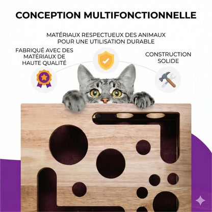 Griffoir Lime à Griffes pour Chat - Manucure Facile en Jouant (Boîte Puzzle)
