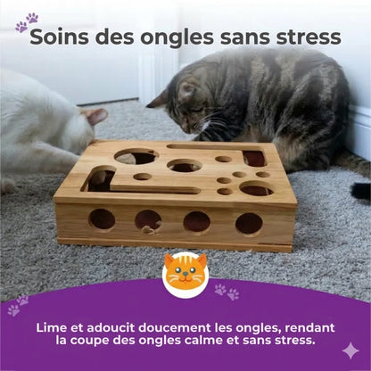 Griffoir Lime à Griffes pour Chat - Manucure Facile en Jouant (Boîte Puzzle)