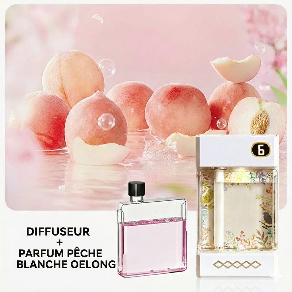 Diffuseur d'Aromathérapie Sans Fil – Rechargeable par USB – Nébuliseur avec Éclairage LED