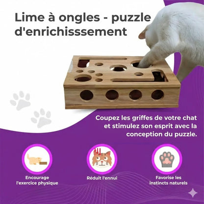 Griffoir Lime à Griffes pour Chat - Manucure Facile en Jouant (Boîte Puzzle)